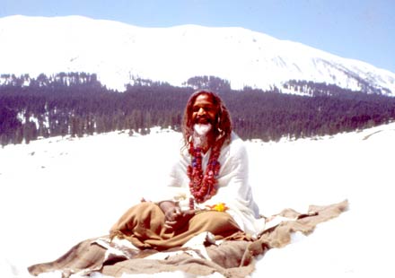 maharishi himalayas