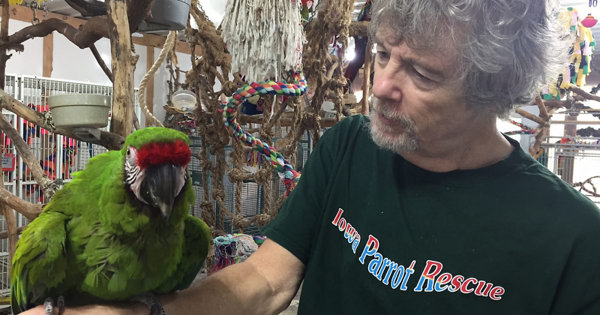 parrot rescue columbus ohio