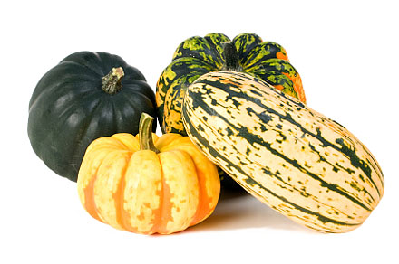 squash, winter squash