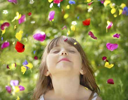 flowers, flower petals