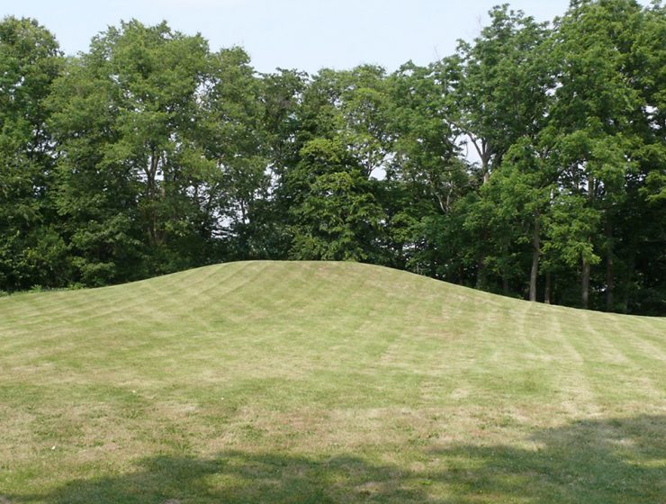 Toolesboro Indian Mound