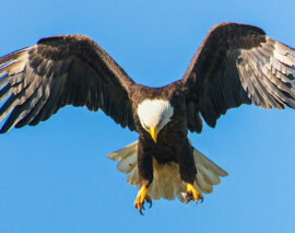 Events Calendar 2025