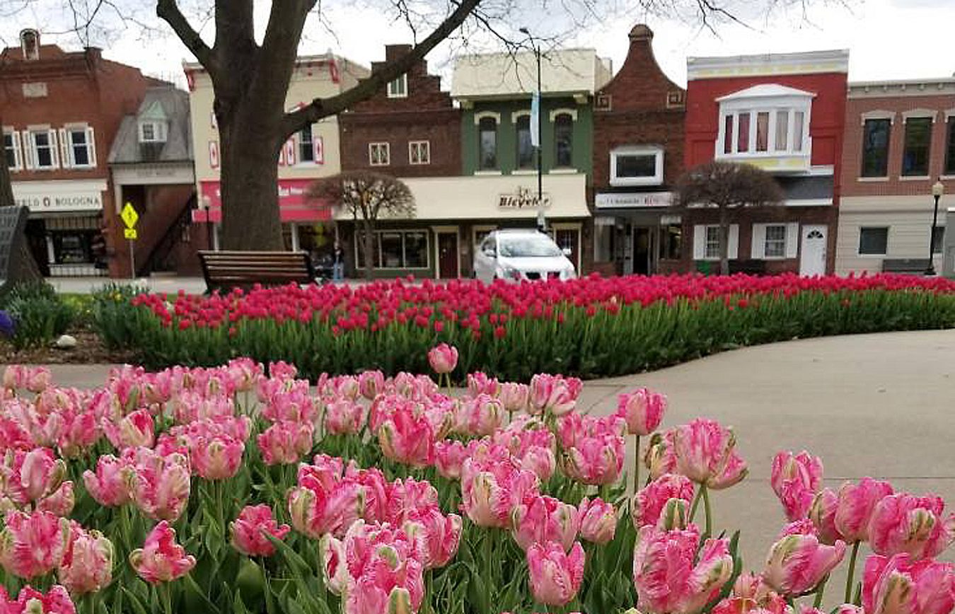 Pella Tulip Time 2023 2023 Calendar