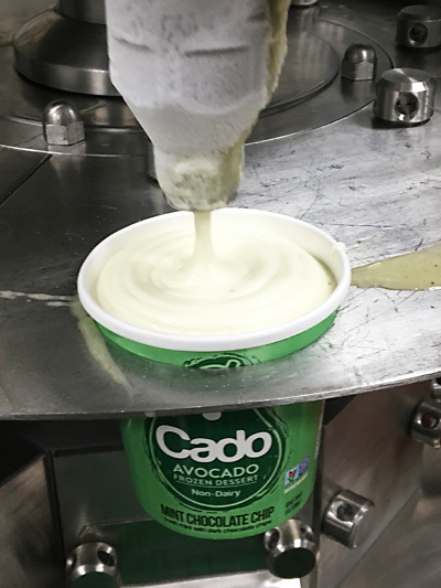 Cado avocado ice cream