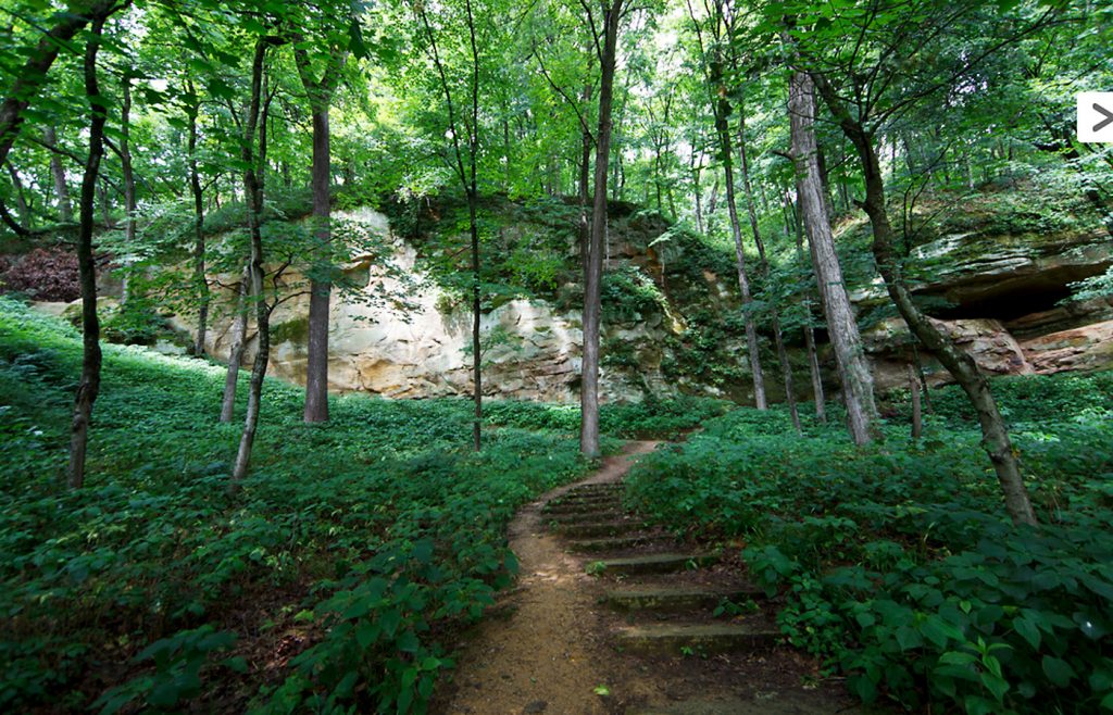 Wildcat Den State Park