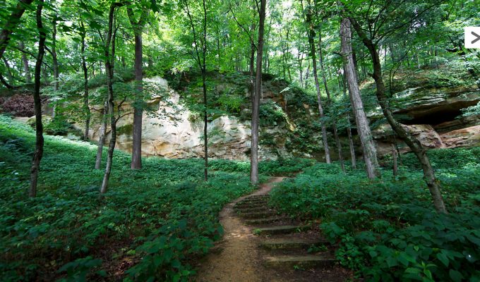 Wildcat Den State Park