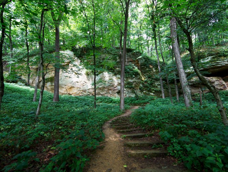 Wildcat Den State Park