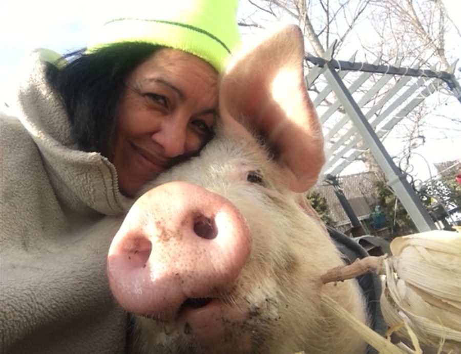 Rescuing Rudy: Love Lessons from a Livestock Animal - Iowa Source