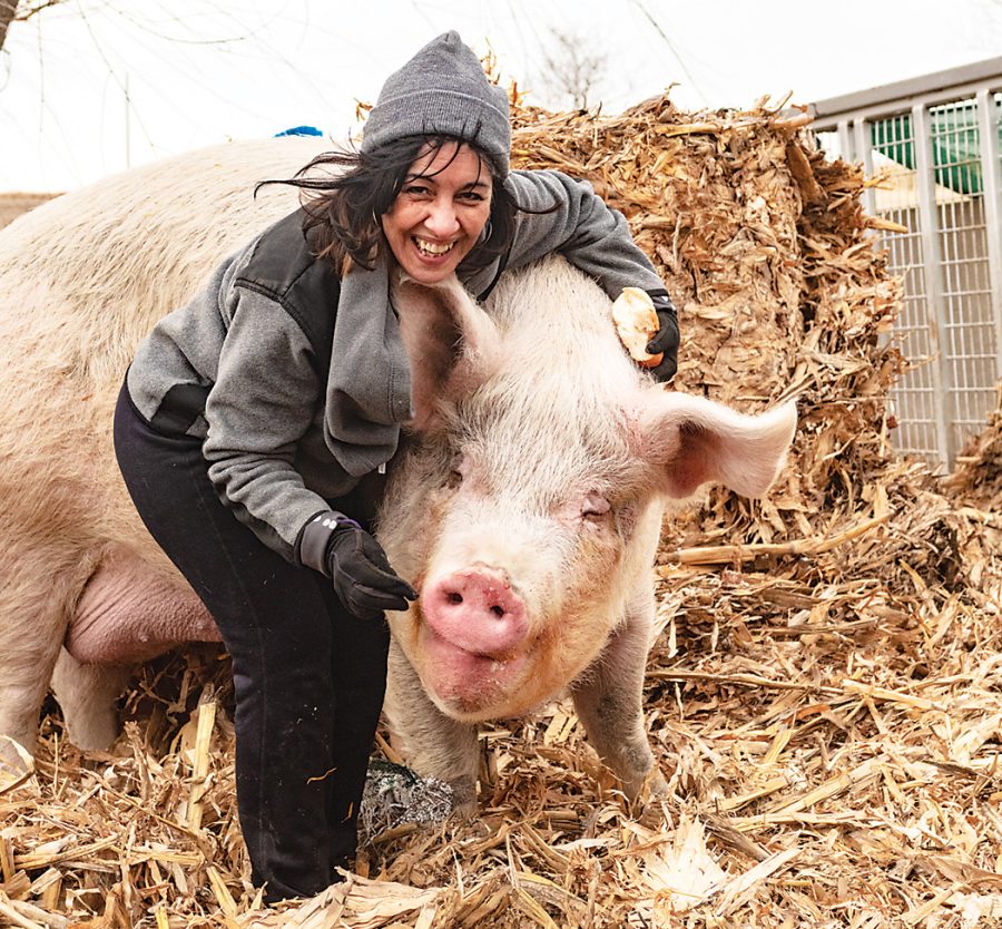 Rescuing Rudy: Love Lessons from a Livestock Animal - Iowa Source