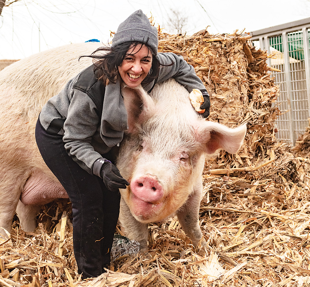 Rescuing Rudy: Love Lessons from a Livestock Animal - Iowa Source