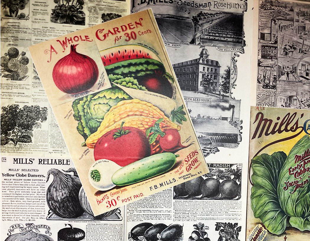 Mills Seed Company Preserving the Past & the Sustainable