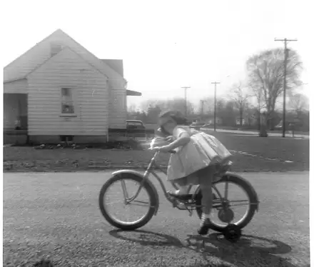 Cheryl Fusco Johnson